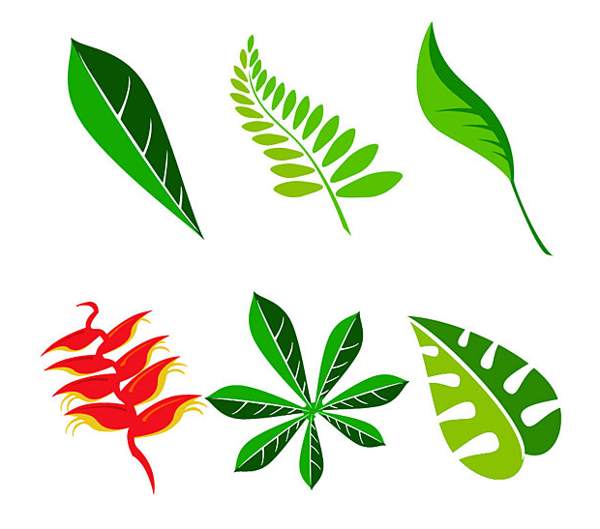 leaf design clip art - photo #28