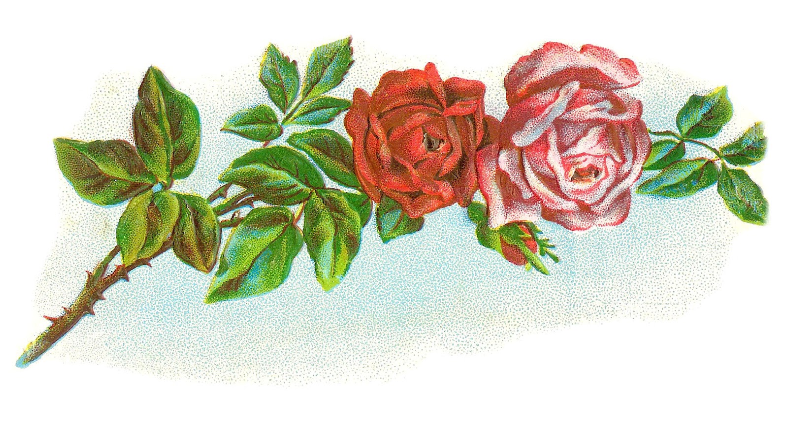 Antique Images: Vintage Flower Clip Art: Vintage Rose Graphic of ...