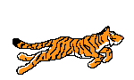 Animated Pictures Of Tigers