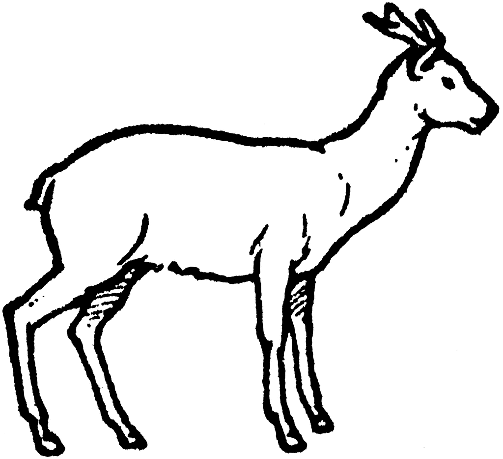 Early Horned Deer | ClipArt ETC