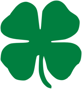 four leaf clover Dont Test Your Luck Use Condoms on St. Paddys Day