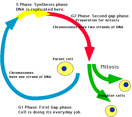 read scattered and filtered solar