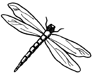Dragonfly Outline Clipart - Free Clipart Images