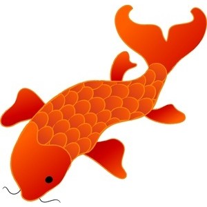Free Fish Clip Art Image - Giant Koi Fish - Polyvore