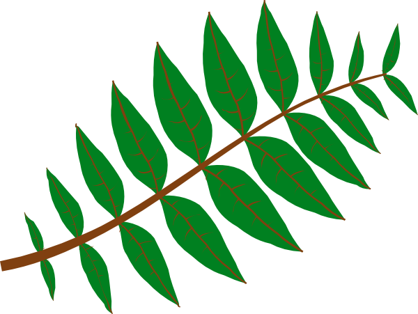 Jungle Leaf Template