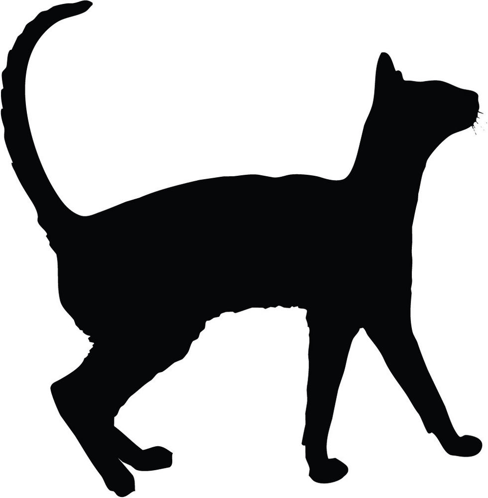 45 Pictures Cat Silhouettes Saba Wallpaper