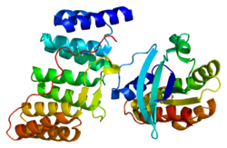 250px-Protein_NCF2_PDB_1e96.png