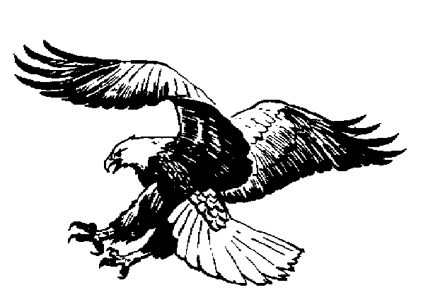 eagle clip art outline - photo #27