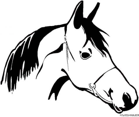 Coloring pages for kids to print - Coloring horse page/Horse head ...