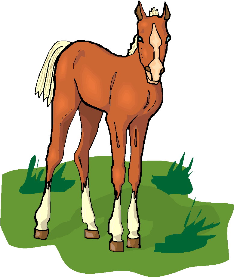 Baby Horse Clipart ClipArt Best