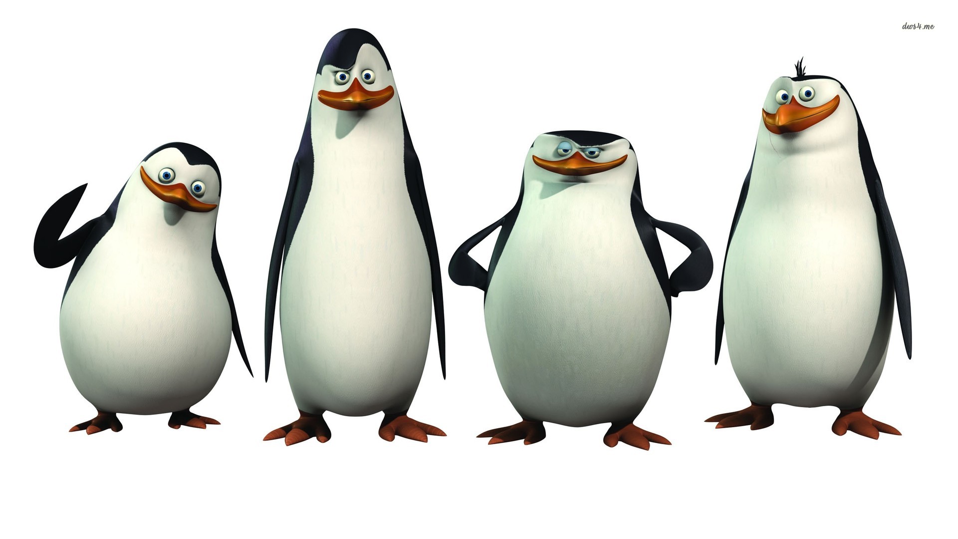 1000+ images about Penguins of Madagascar