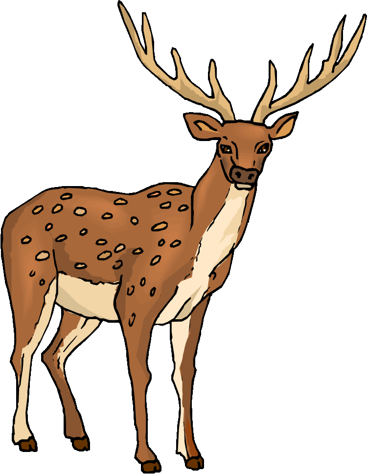 free mule deer clip art - photo #25