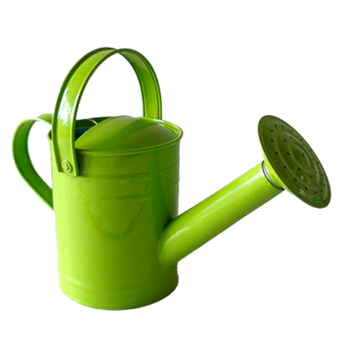 Five Little Ducks Limited, Children's Watering Can - Twigz,toys ...