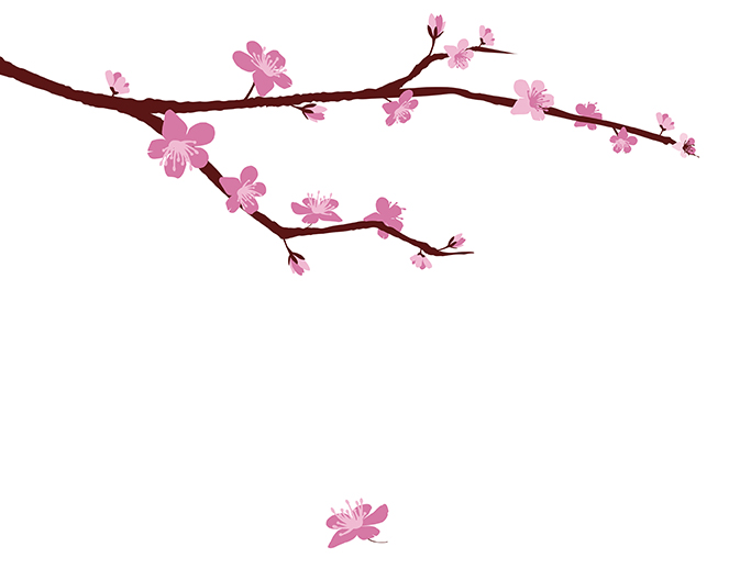 6th Annual Cherry Blossom Festival -