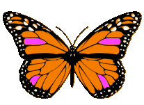 Animation Bundle: Butterfly Animation Butterfly Gif Butterfly ... - ClipArt  Best - ClipArt Best
