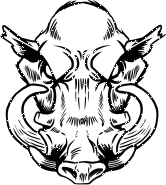 1000+ images about wild boar logo