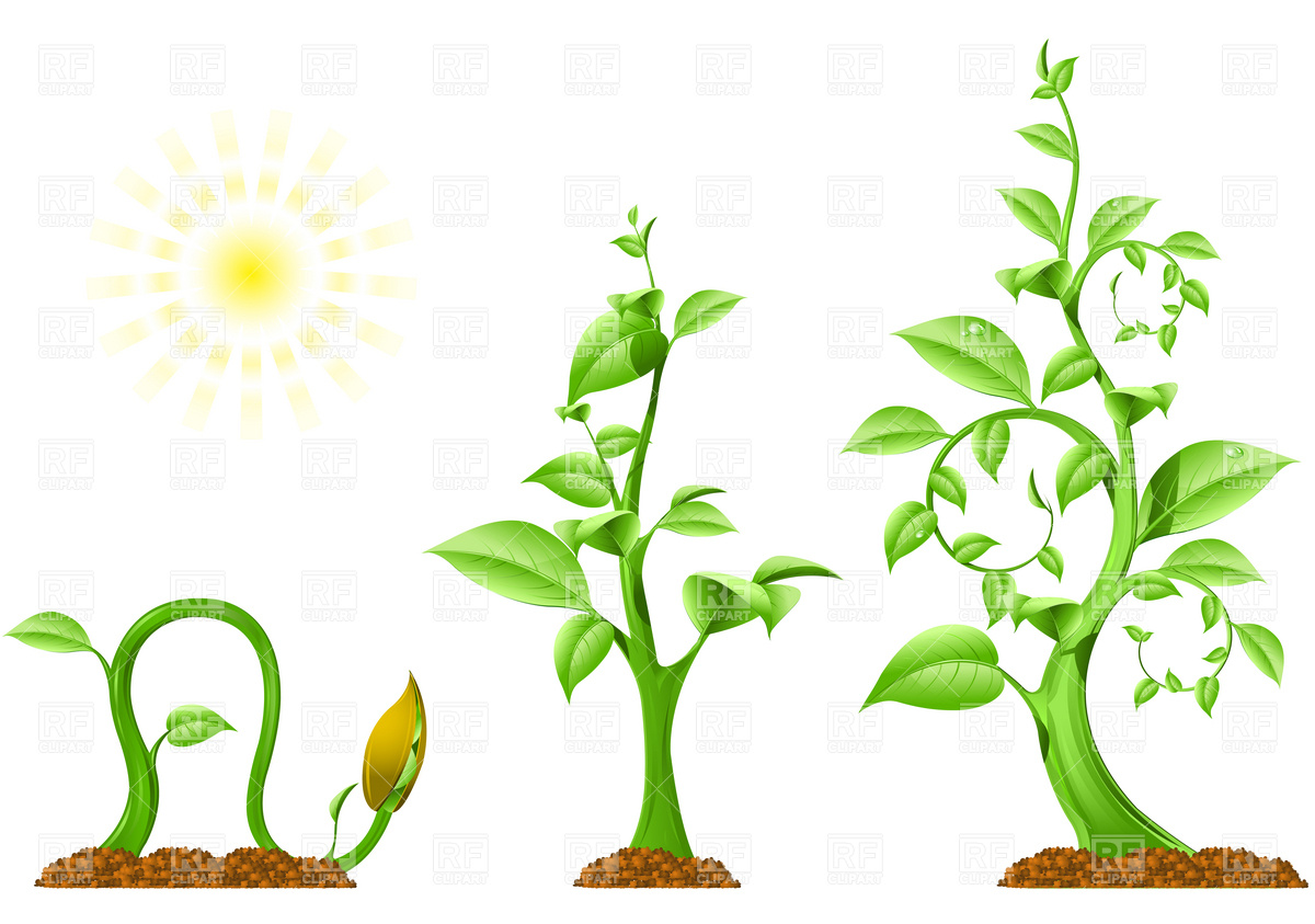 Clip art of plants - ClipArt Best - ClipArt Best