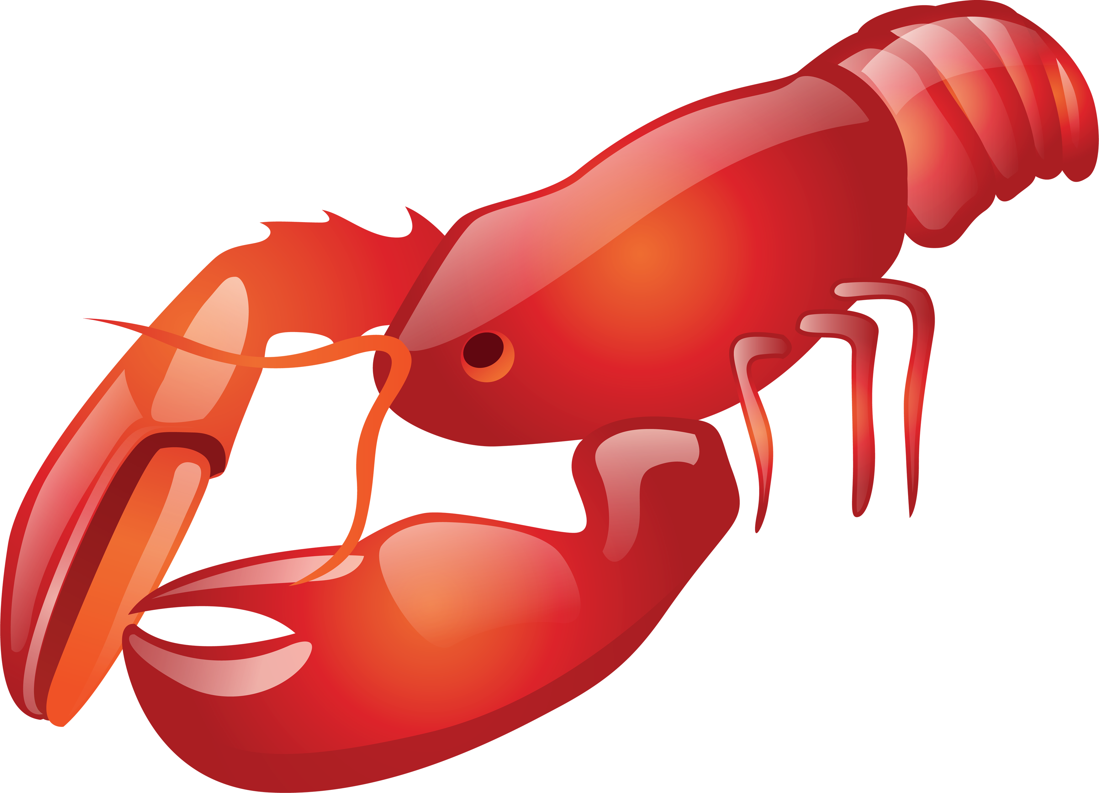 Lobster clip art images free clipart 2 - Cliparting.com