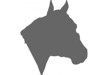 Horse Stencil Shapes - Custom Horse Stencils | Craftcuts.com