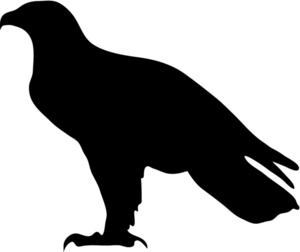 Birds of prey clipart black and white