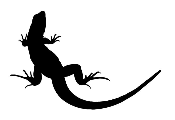Lizard Silhouette 1 Decal Sticker