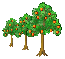 Orange Tree Clip Art - A Row of Orange Trees - Orange Trees