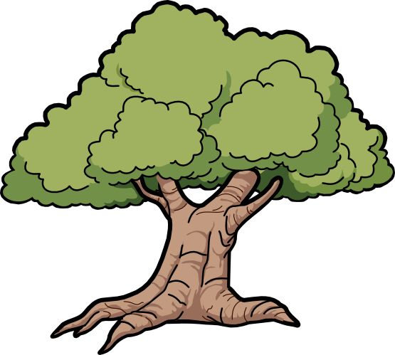 1000+ images about clip art trees