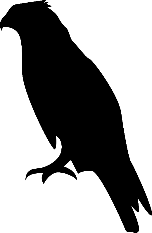Hawk clip art free - Clipartix