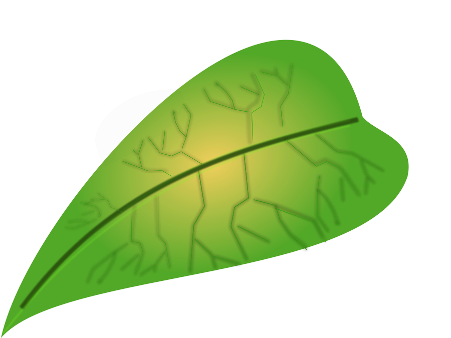 jungle leaves clip art - photo #26