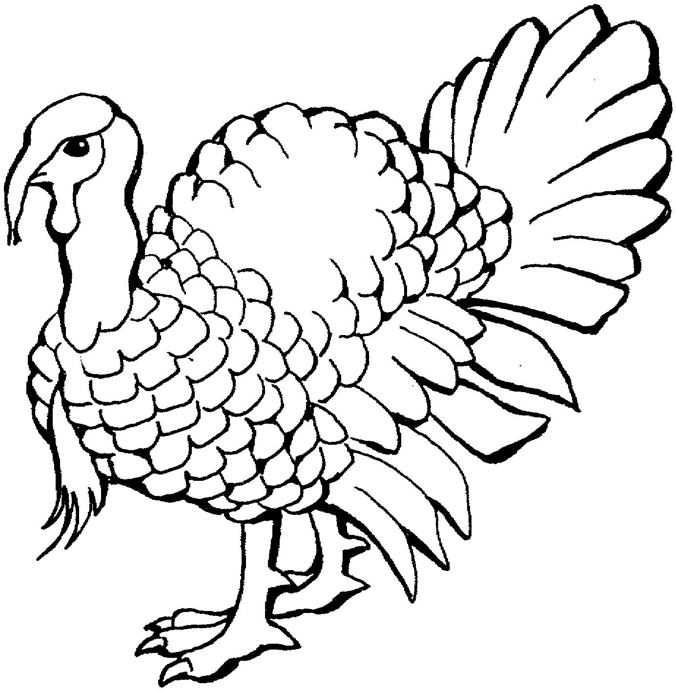 Turkey Line Art Clipart Best | turkey line art clipart best Turkey Line Art Clipart Best | turkey line art clipart best
