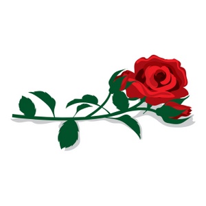 Red Rose Clipart Image - Beautiful long stemmed red rose