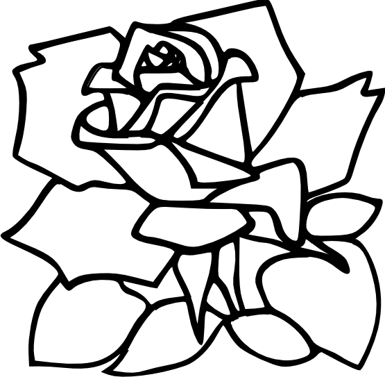 Zeimusu Red Rose Black White Line Art Tattoo Tatoo Flower xochi ...