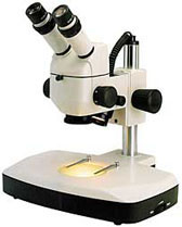 601 views Motic® K Series Stereo Microscopes