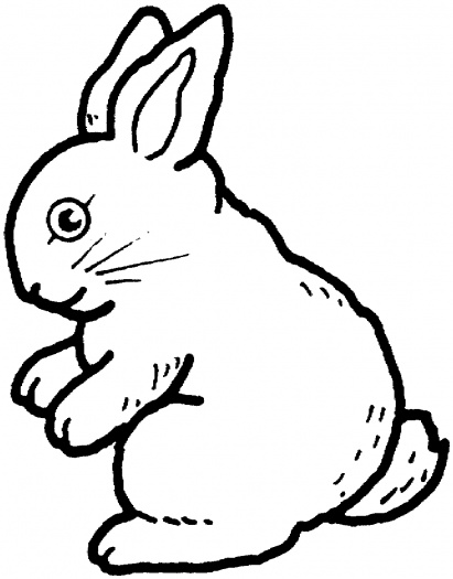 rabbit with carrot coloring pages - photo #49
