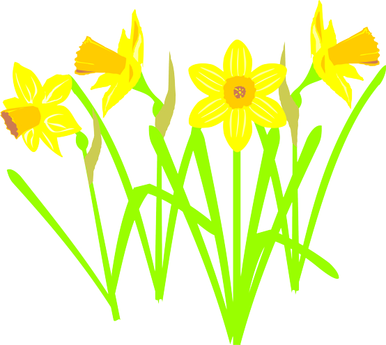 free clip art daffodil border - photo #24