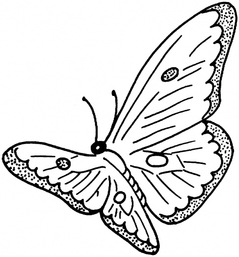 930 views Insects coloring pages | Super Coloring - Part 8