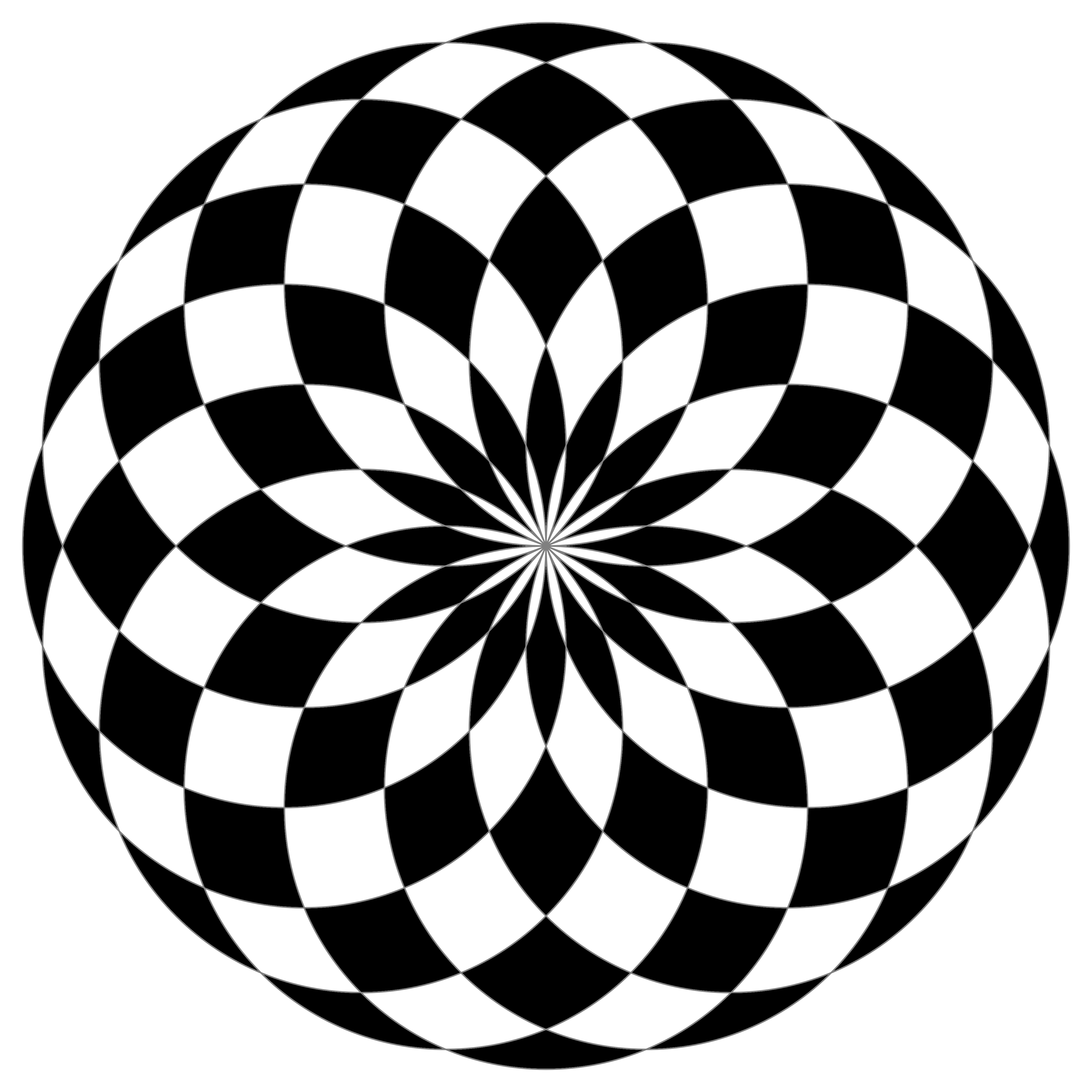 16 circle black white fill