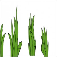 Blade of grass clip art Free vector for free download (about 3 files).