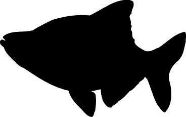 Simple Fish Outline Clip Art - Free Clipart Images