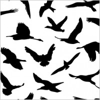 Vector flying birds silhouette Free vector for free download ...