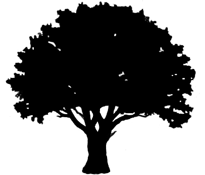 2,193 views Tree Silhouette Images