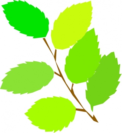 New Tree Spring Branch Plant Vine Leaves vector, free vector ...