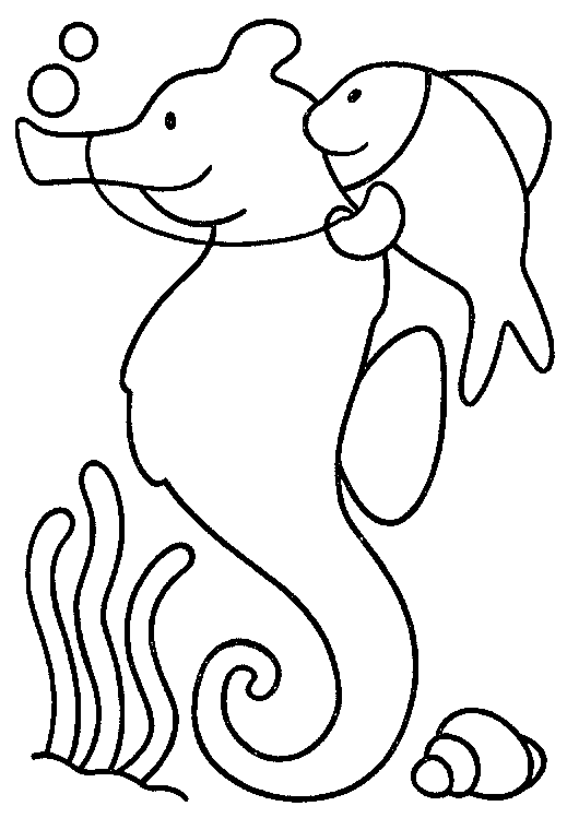 Perfect Sea Horse Coloring Page Coloring Page