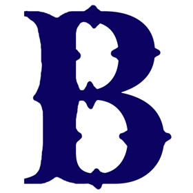Boston Braves Primary Logo | BrandProfiles.