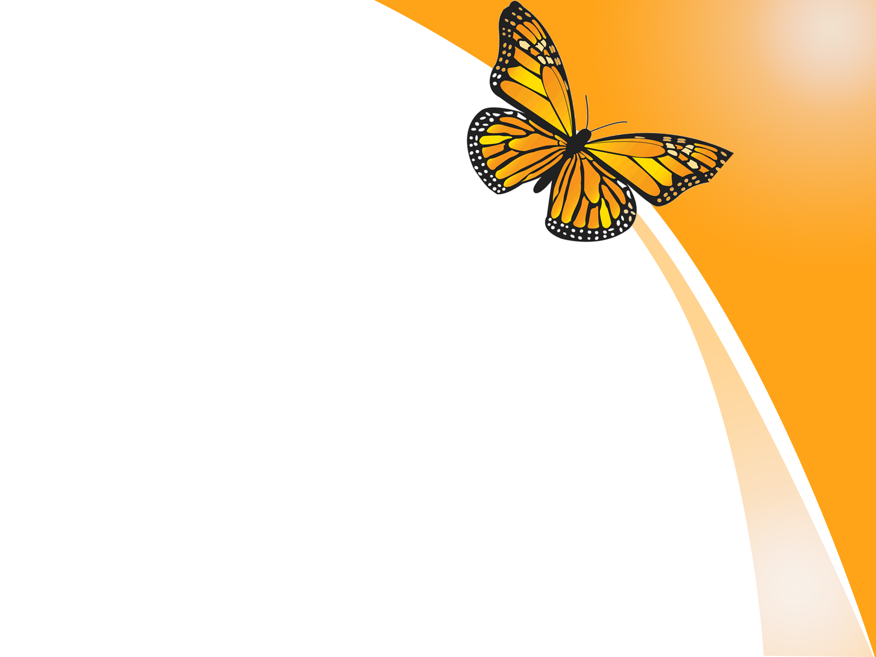 Orange Butterfly Design 1024x768 pixel PPT Backgrounds for ...