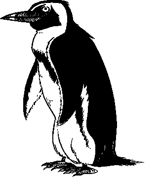 Free Penguins Clipart. Free Clipart Images, Graphics, Animated ...