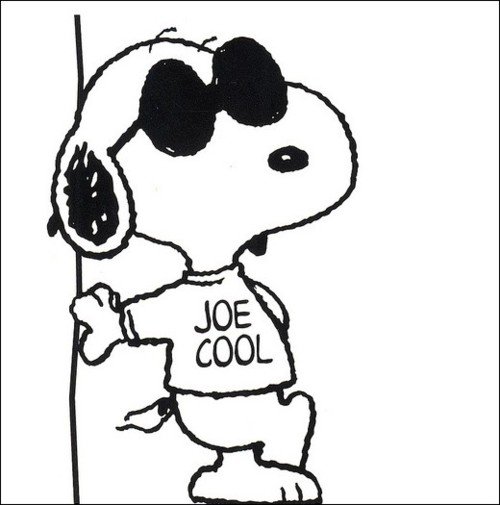 Snoopy Joe Cool Wallpaper 57324 | UPSTORE