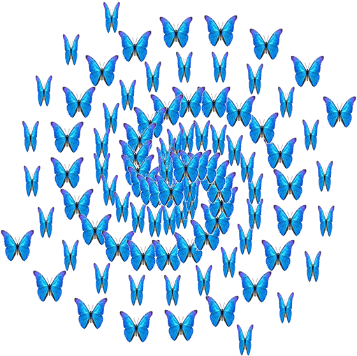 Butterfly GIF - Find & Share on GIPHY