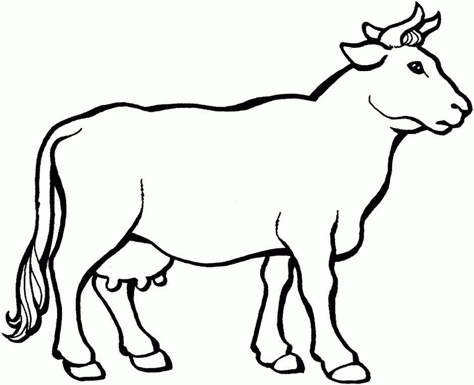 Printable Pictures Of Cows - AZ Coloring Pages