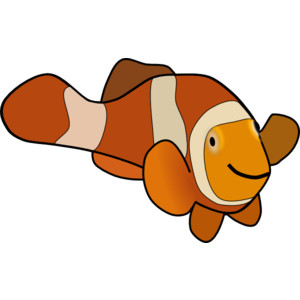 Clown Fish clip art - Polyvore